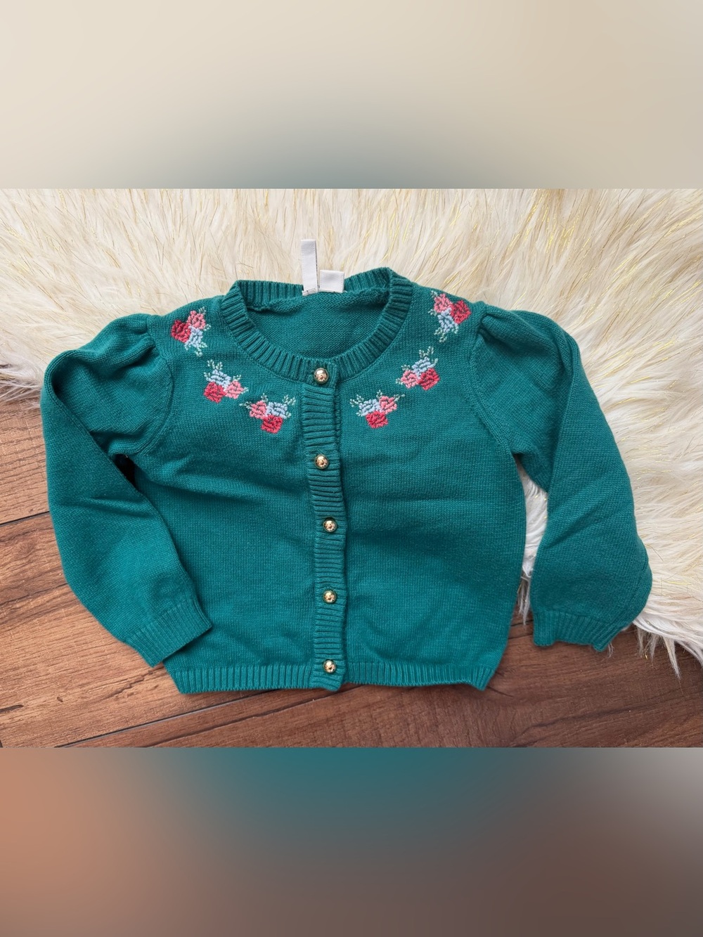 Janie and Jack Green Floral Embroidered
Cardigan Sweater Size 2t Cottagecore